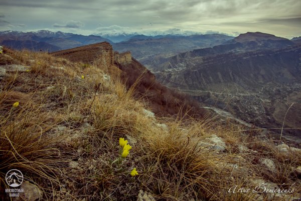 Дагестан весной