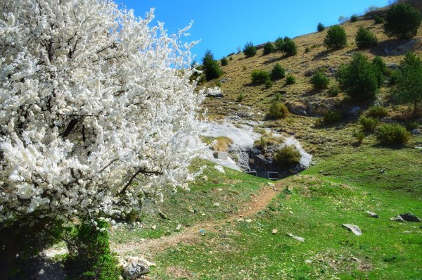 Весна в горах Дагестана