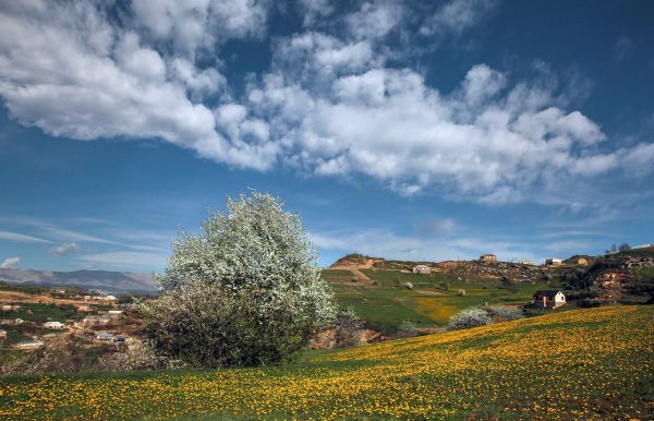 Весна в горах Дагестана