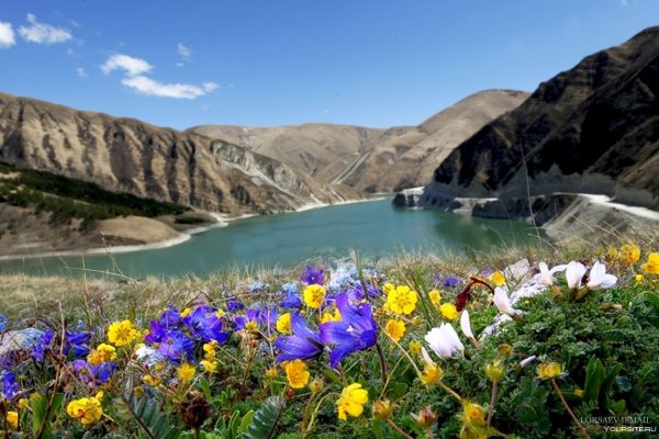 Альпийские Луга Дагестана