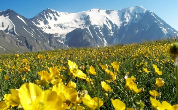 Альпийские Луга Дагестана