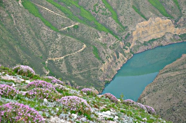 Сулакский каньон в Дагестане в мае