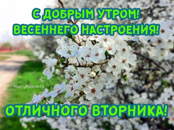Доброго весеннего вторника