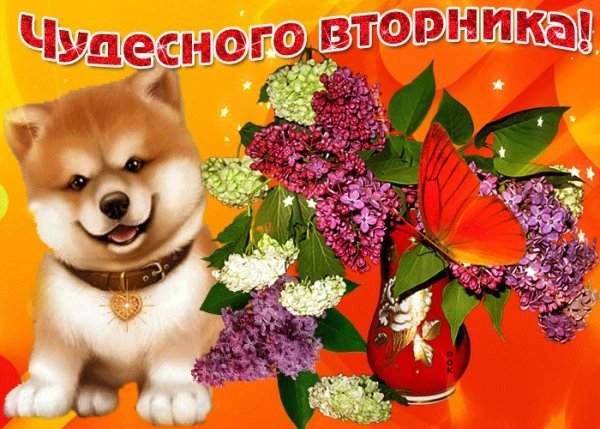 Открытки замечательного вторника