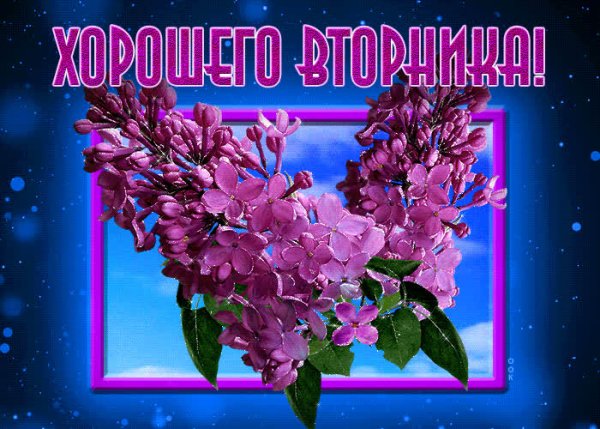 Доброго весеннего вторника