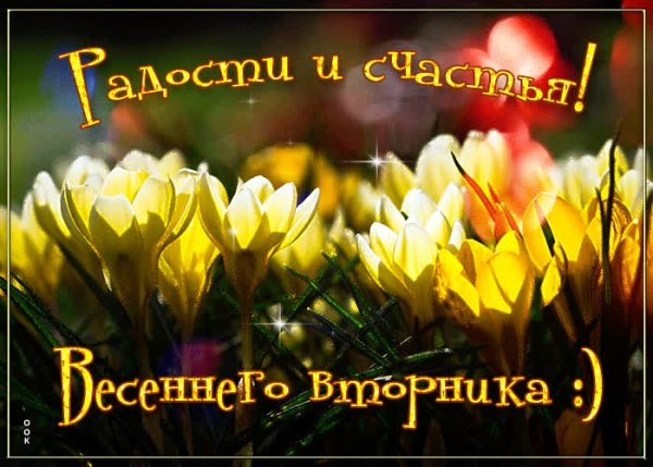 Доброго весеннего утра смешные