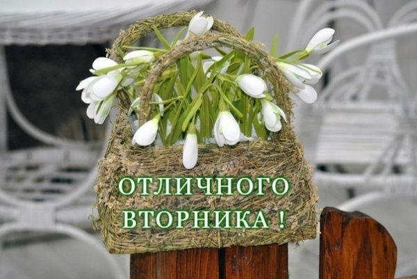Пожелание доброго утра вторника