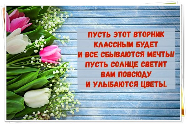 Суббота с корзинками цветов