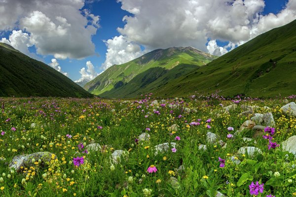 Альпийские Луга Чечня