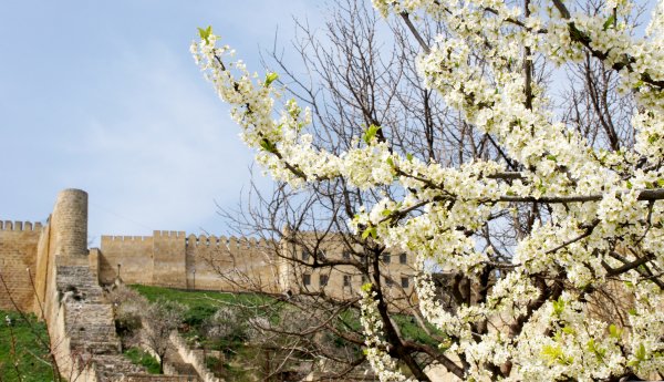 Крепость Нарын-кала весной