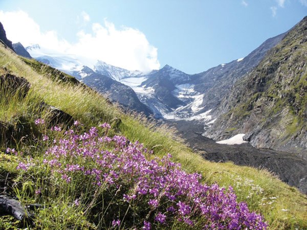 Горная природа Дагестан