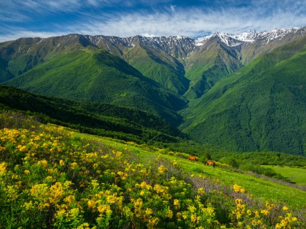 Луга Дагестана Альпийские Дагестана