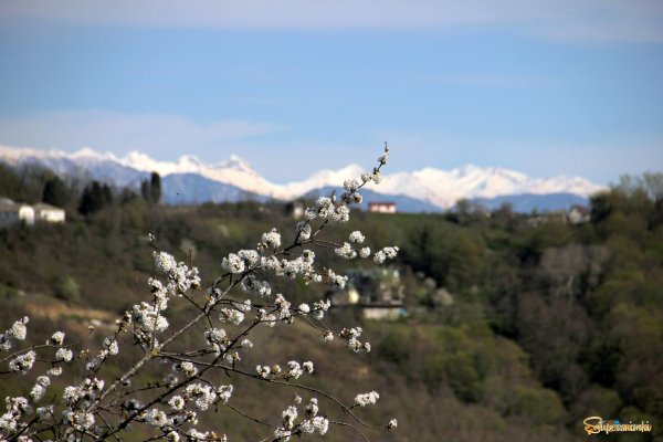 Весна в горах Дагестана