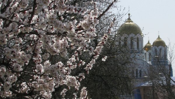 Храм весной