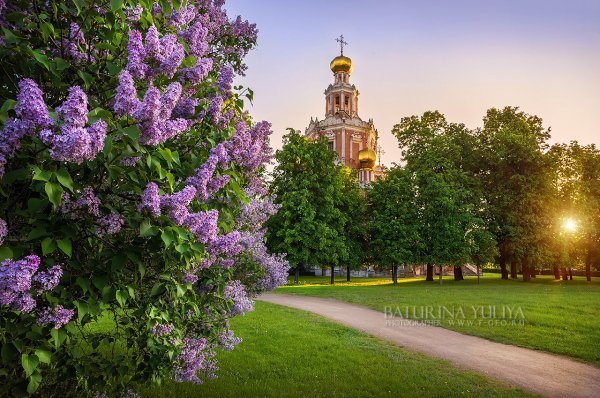 Храм Покрова весной Французова