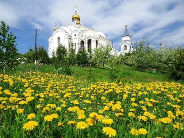 Храм Покрова на Нерли снег