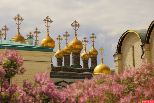 Цветы в храме