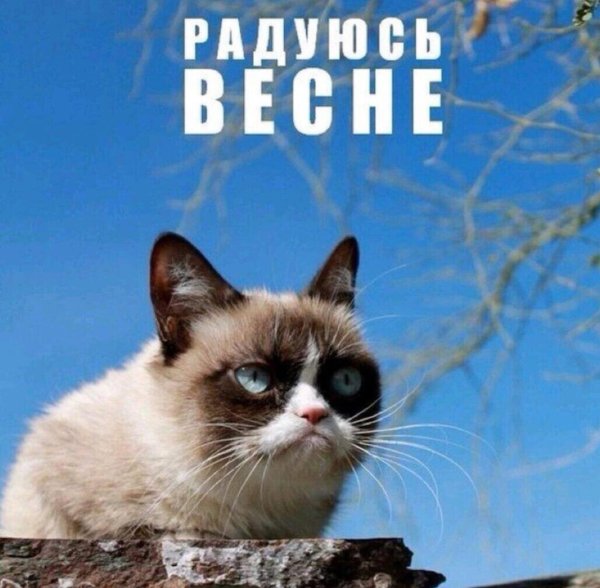 Весенний привет открытки