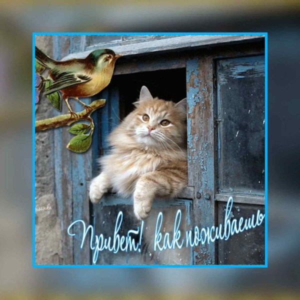 Весенний привет