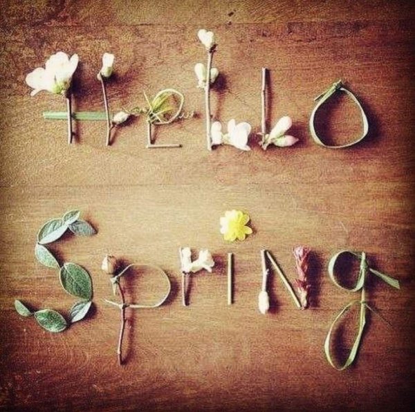 Приветик с весной