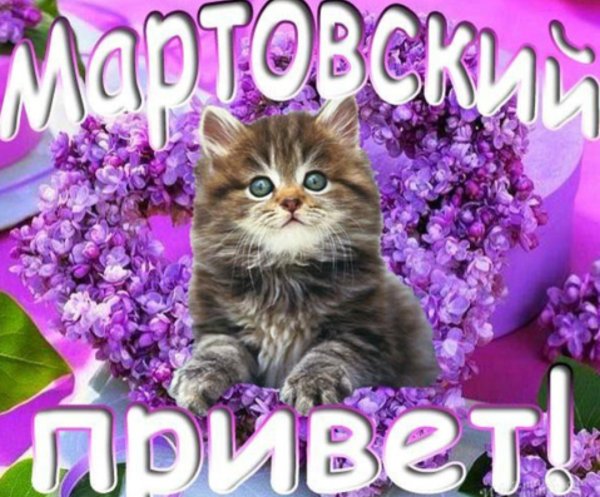 Поздравления с весной прикольные