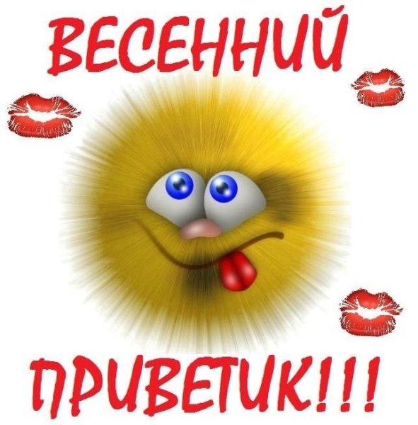 Кошка в венке из цветов