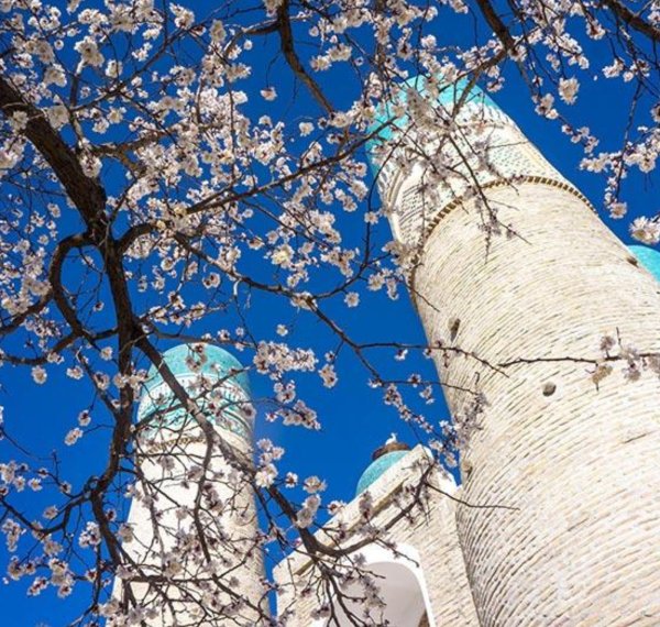 Горы Акташ Узбекистан