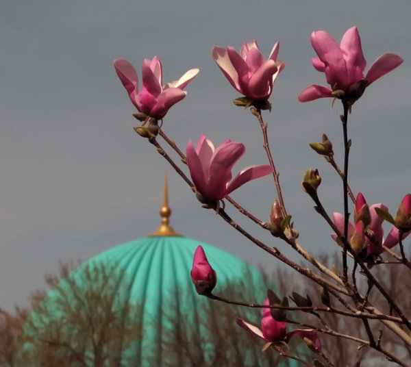 Весна в Узбекистане