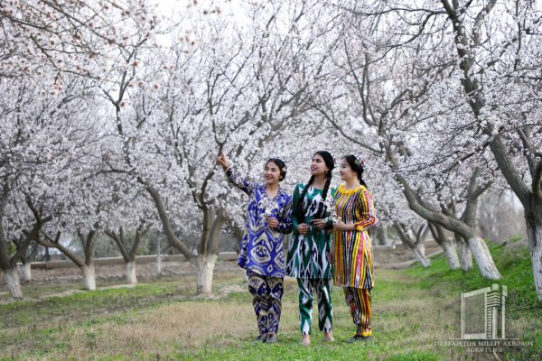 Crystal Garden, Узбекистан, Ташкент