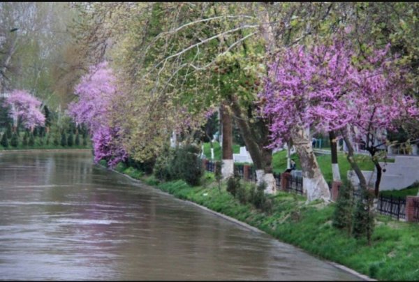 Узбекистан весной