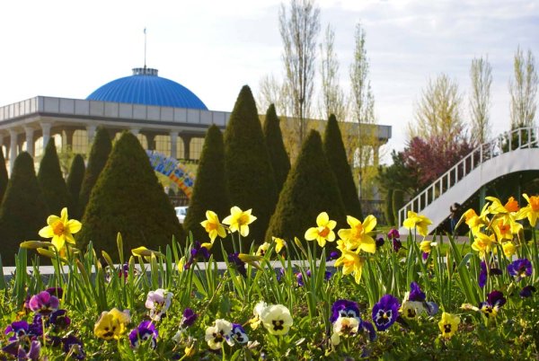 Весна в Ферганской долине Узбекистан