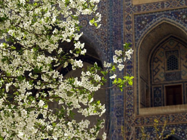 Ташкент в апреле