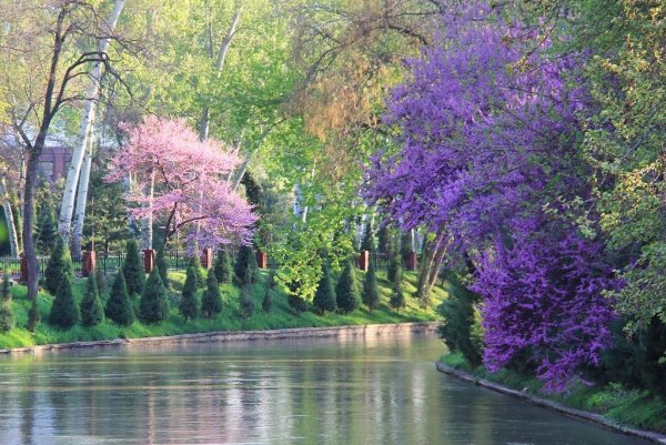 Солнечный город, Узбекистан, Ташкент