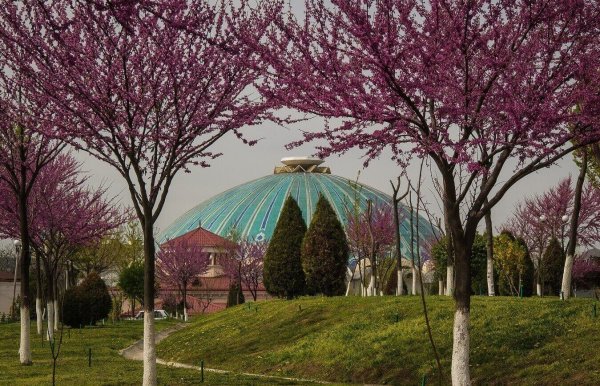 Навруз Самарканд Регистан