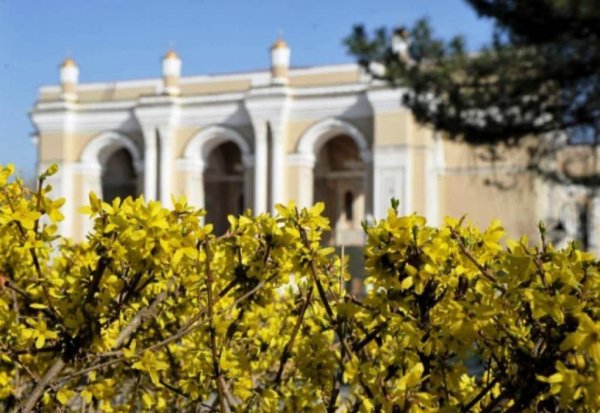 Весенний Ташкент 2020