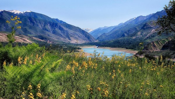 Узбекистан Навруз танец