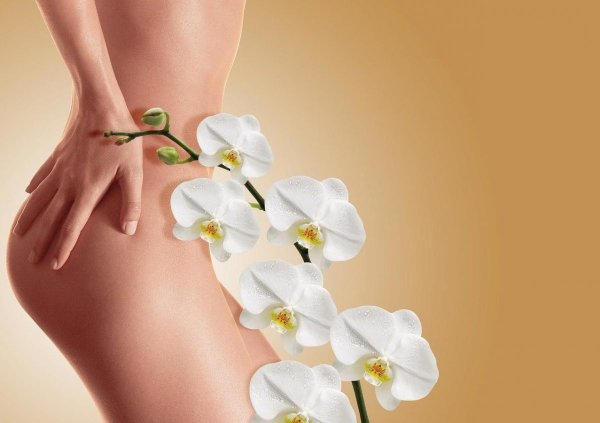 Женщина Орхидея