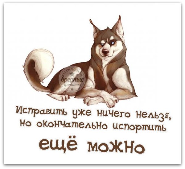 Зима ты где