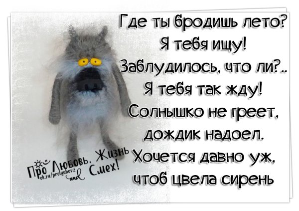 Весна заблудилась смешные