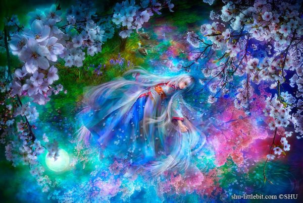 Японский художник Шу Мизогучи