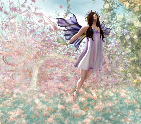 Кременецкая Дарья