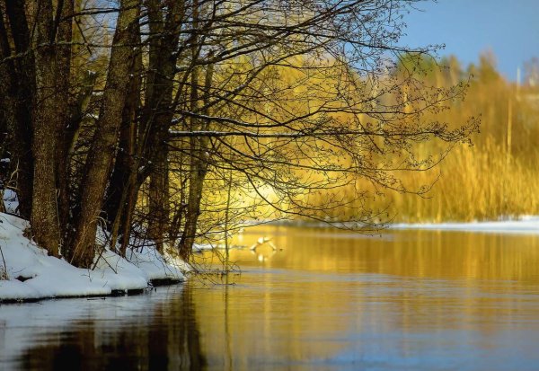 Солнечный пейзаж