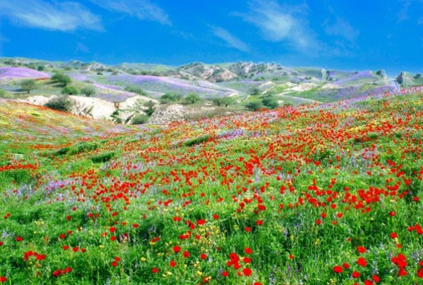 Табиати Душанбе