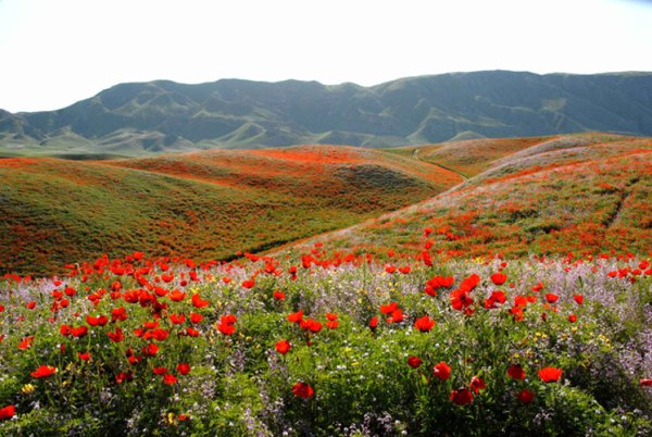 Горы Магол Тау Худжанд