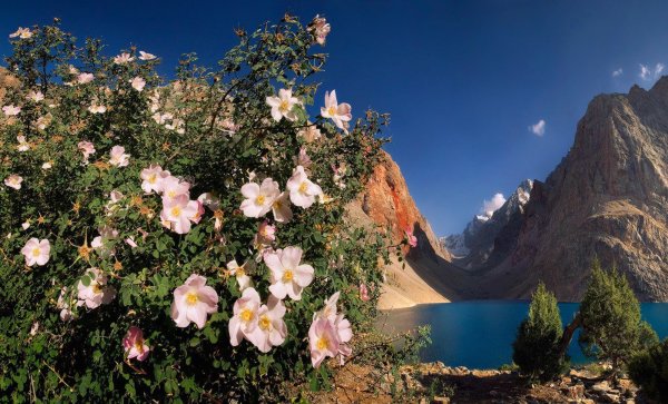 Таджикистан Весна в горах