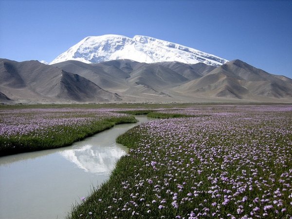 Памир горы Таджикистан Весна