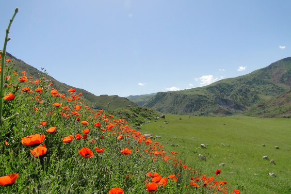 Горы реки Таджикистана