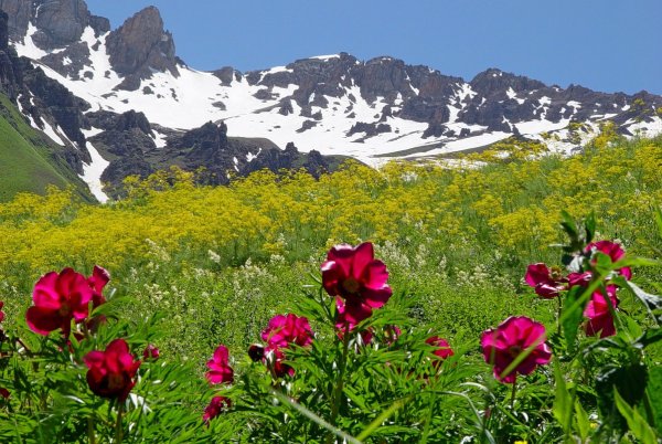 Горы Исфары