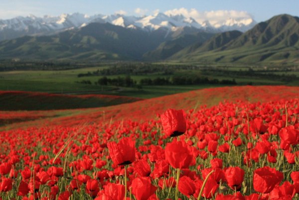 Манзарахои Бахор