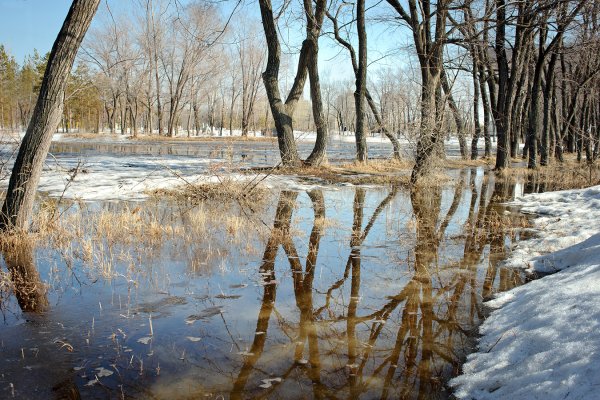 Снег в Вене